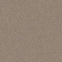 1229 Dust