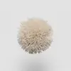 TW536 Soft Beige