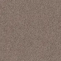 7920 Powder