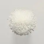 FdS Band 0 Botanical Silk (T)