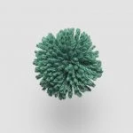 FdS Band 0 New Zealand Wool (W): W223 Pepper Green