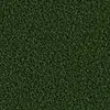 6874 Evergreen