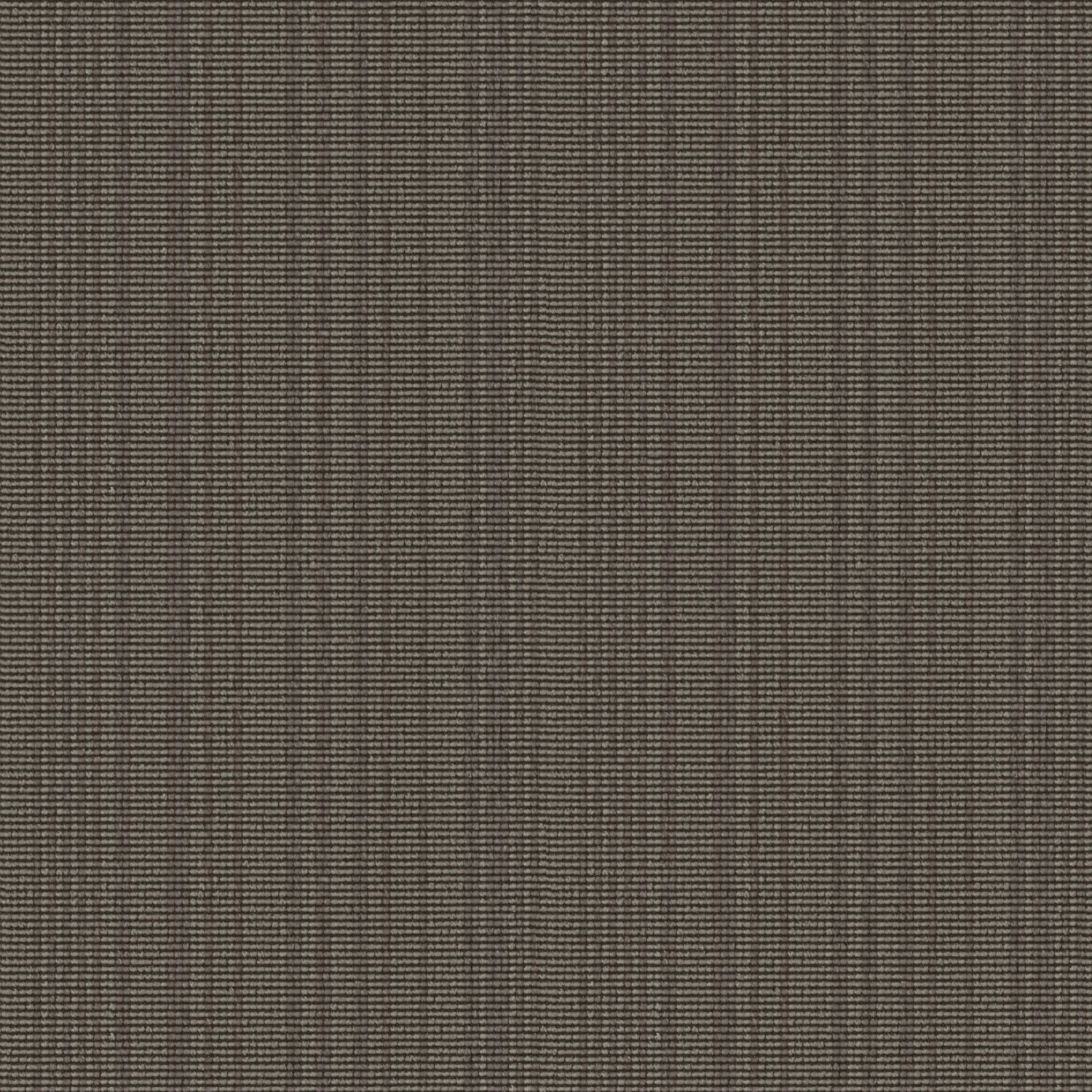 Web Code 400 Acoustic 400 : 0447 Mud