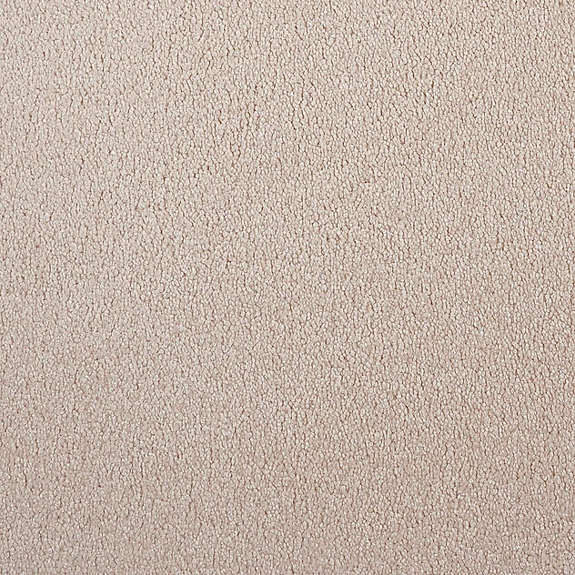 Coco-Vision wtx 200 400: 810