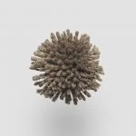 FdS Band 0 New Zealand Wool (W): W237 Army Grey