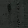 T800009350