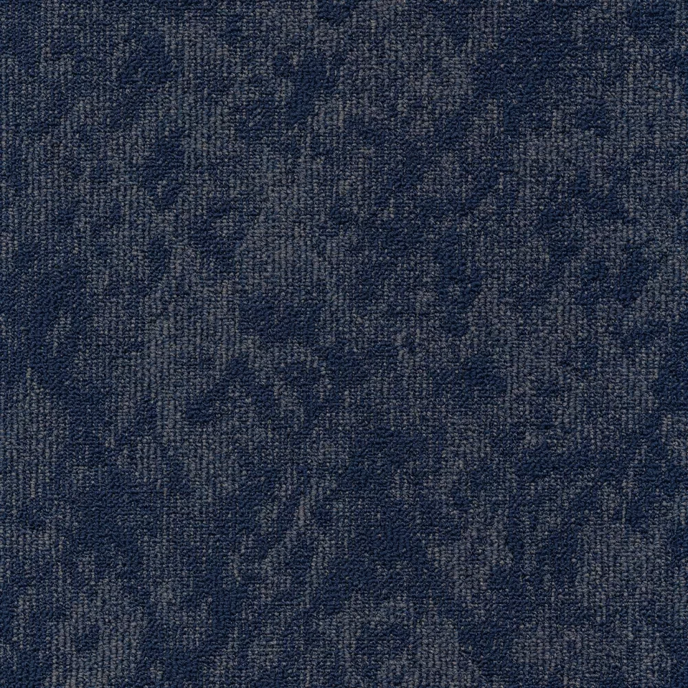 Vision sd b2b 50x50 cm: 550