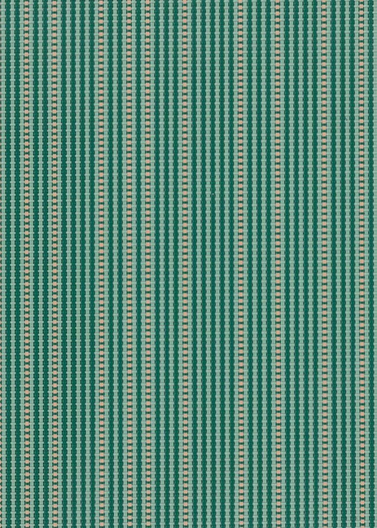 Hatching 250 cm: Pine