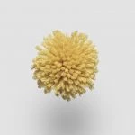 FdS Band 0 New Zealand Wool (W): W527 Yellow