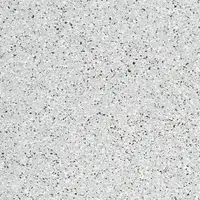0268 Ermellino