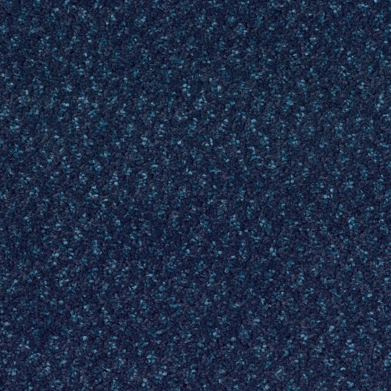 Spectrum Dot sd fm imp 400: 438880 Midnight Bounty