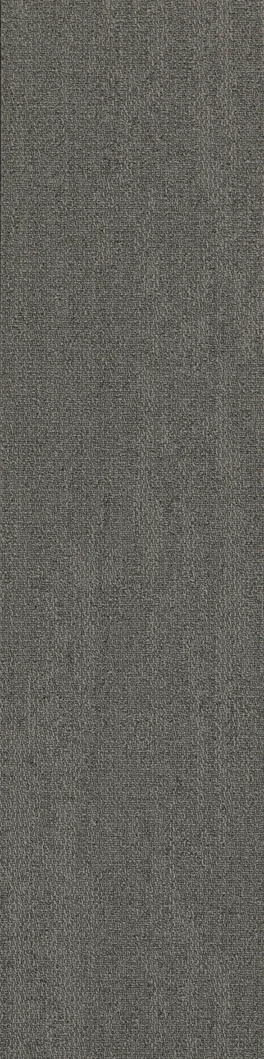 Rapid Select Roam tw sd 25x100 cm: Sussex Grey 26535