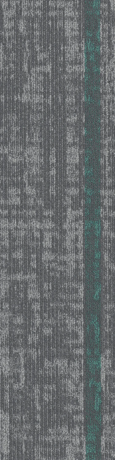 Assembly Convene tw sd 25x100 cm: Vivid Network  67539