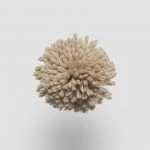 FdS Band 0 New Zealand Wool (W): W509 Dark Beige