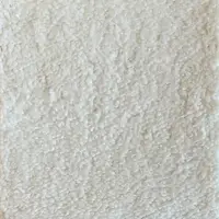 101