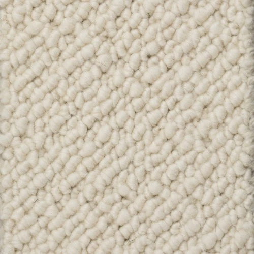 Titan jt 400 500: 38 White