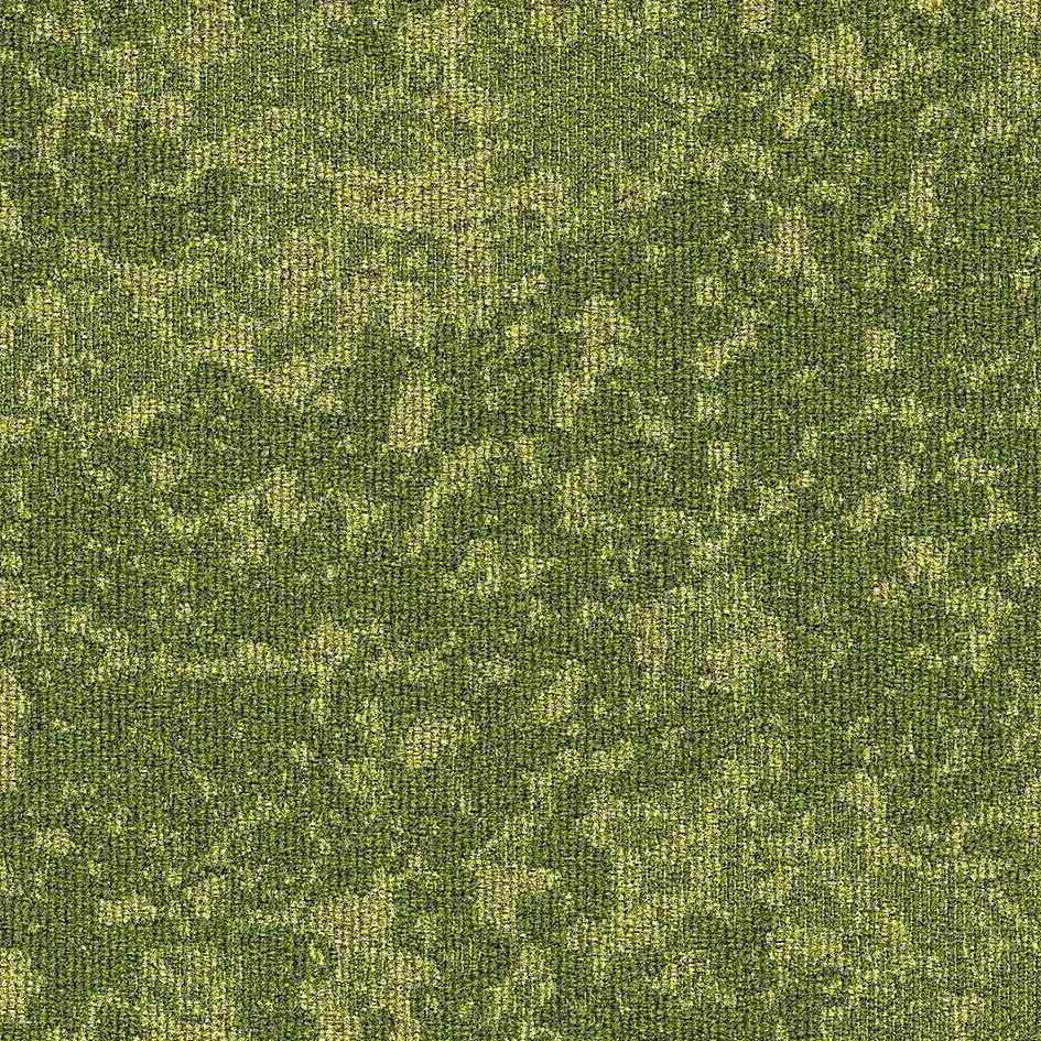 Balance Ratio sd BioBase 50x50 cm: 35513 Greenery Moss