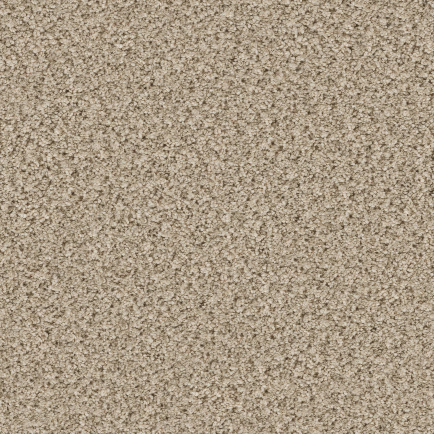 Eddy 2100 cab 400: 2151 Sandy
