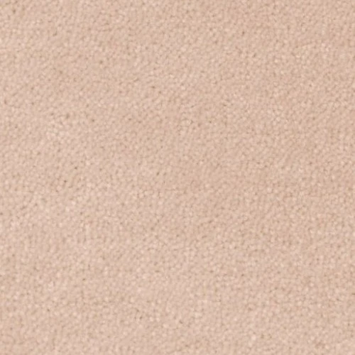 Sheba ab (400) 500 : 1184 Rice Powder