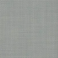 Tortora