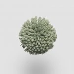 FdS Band 0 New Zealand Wool (W): W581 Mineral Green