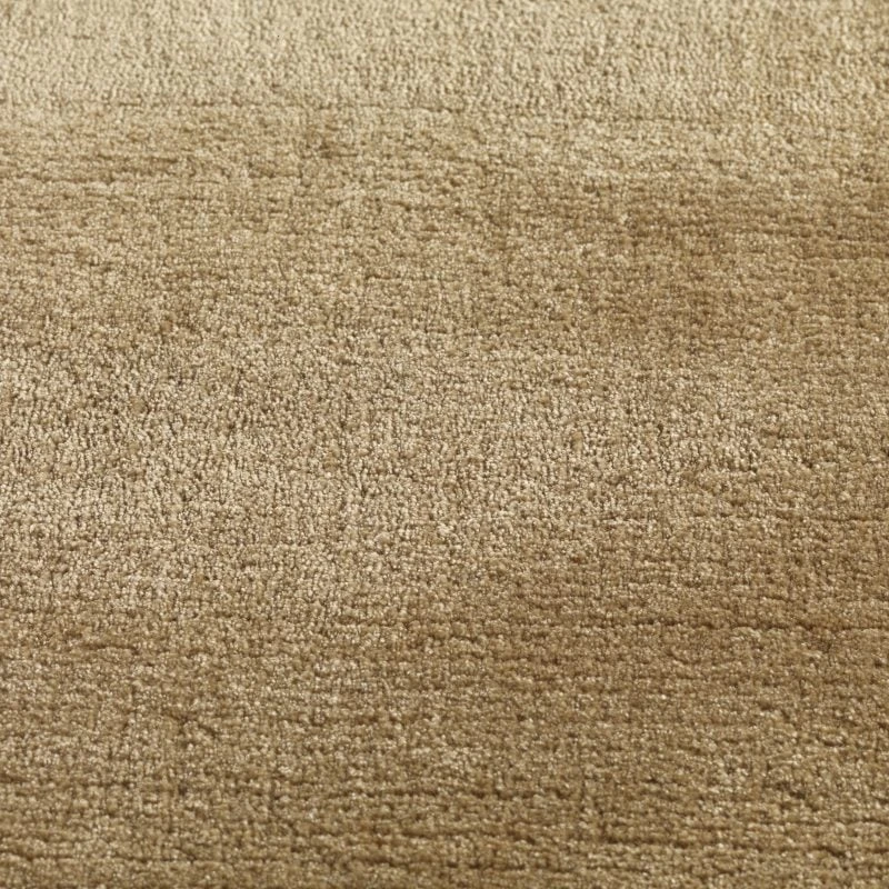 Kheri ct 400: Camel