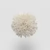TW502 Angora