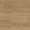 9823 English Oak