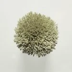FdS Band 0 Botanical Silk (T): T76 Dusty Green