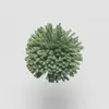 W770 Garden Green