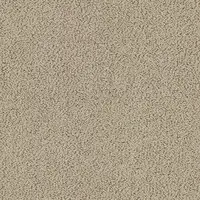 7902 Beach