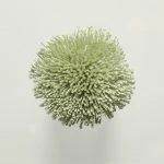 FdS Band 0 Botanical Silk (T): T49 Fog Green