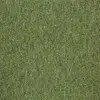 20201 Guyana Moss