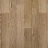 Falco 6259