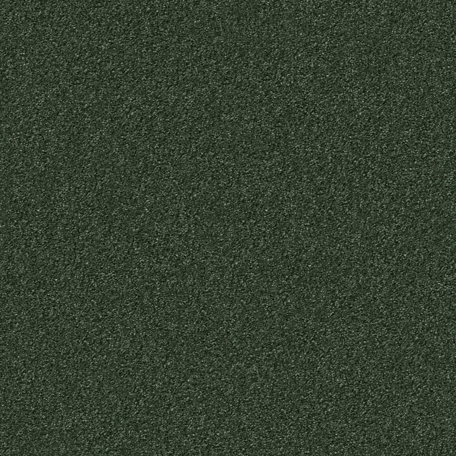 Silky Seal 1200 Acoustic Plus 400: 1230 Bonsai
