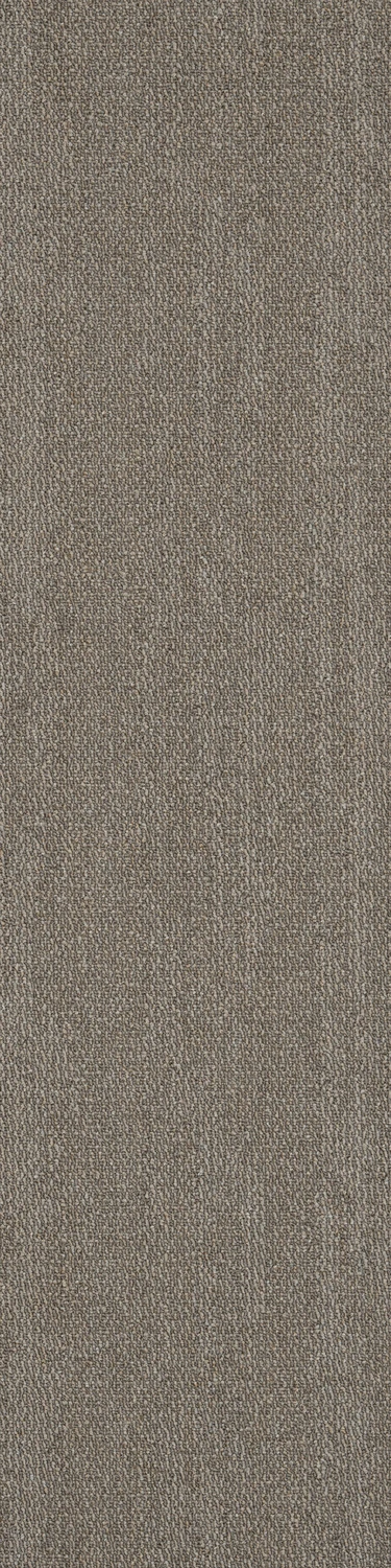 Rapid Select Roam tw sd 25x100 cm: 26518 Mountain