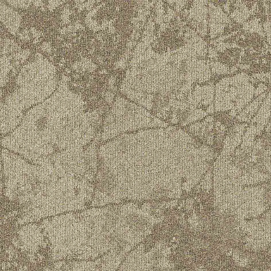 Rocklines sd BioBase 50x50 cm: 36107 Fragment