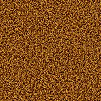 6868 Golden Tulip