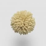 FdS Band 0 New Zealand Wool (W): W815 Raffia