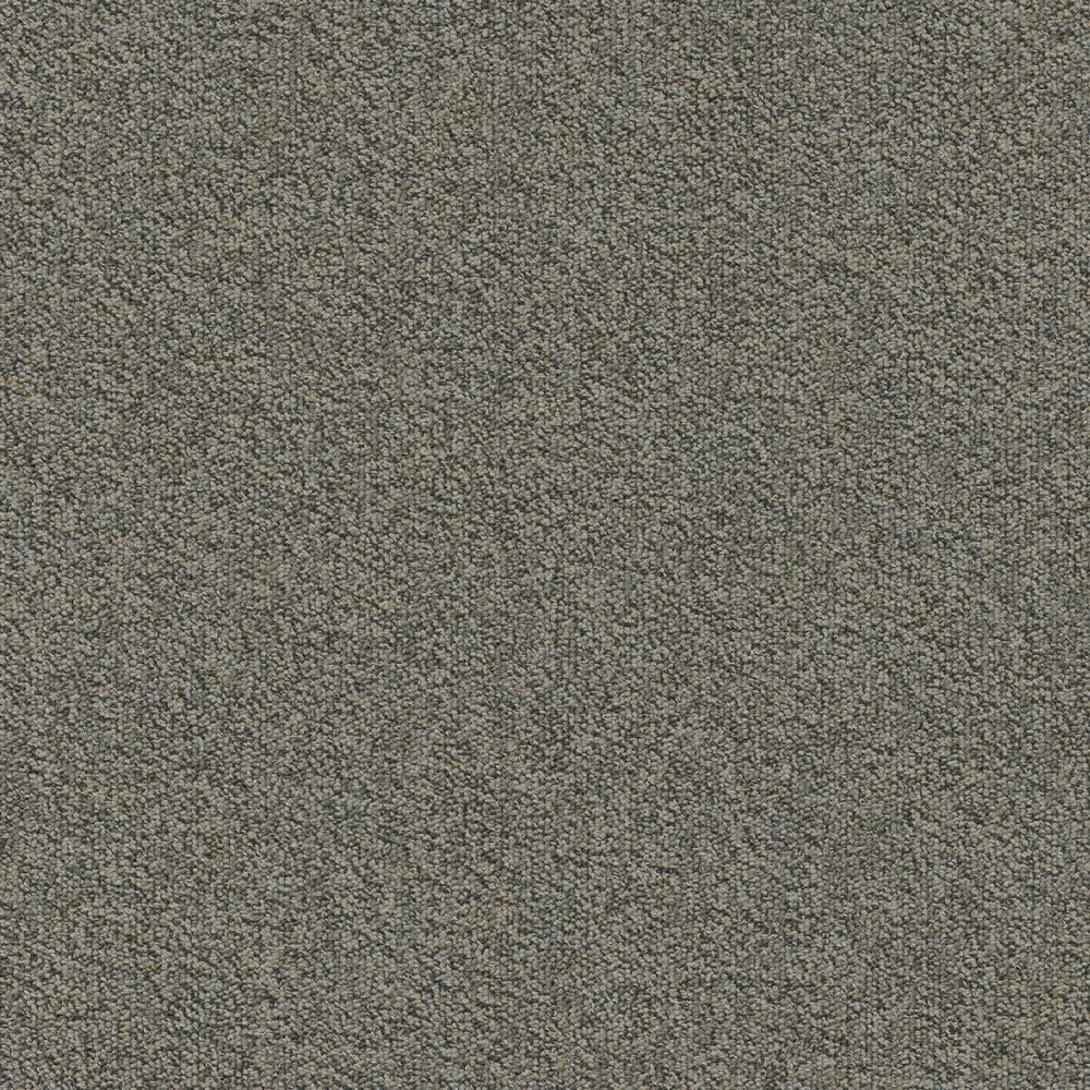 Millennium Nxtgen sd b2b 50x50 cm: 817