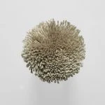 FdS Band 0 Botanical Silk (T): T124 Driftwood