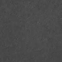 1896 Gris F.