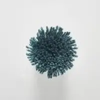 TT36 Blue Coral