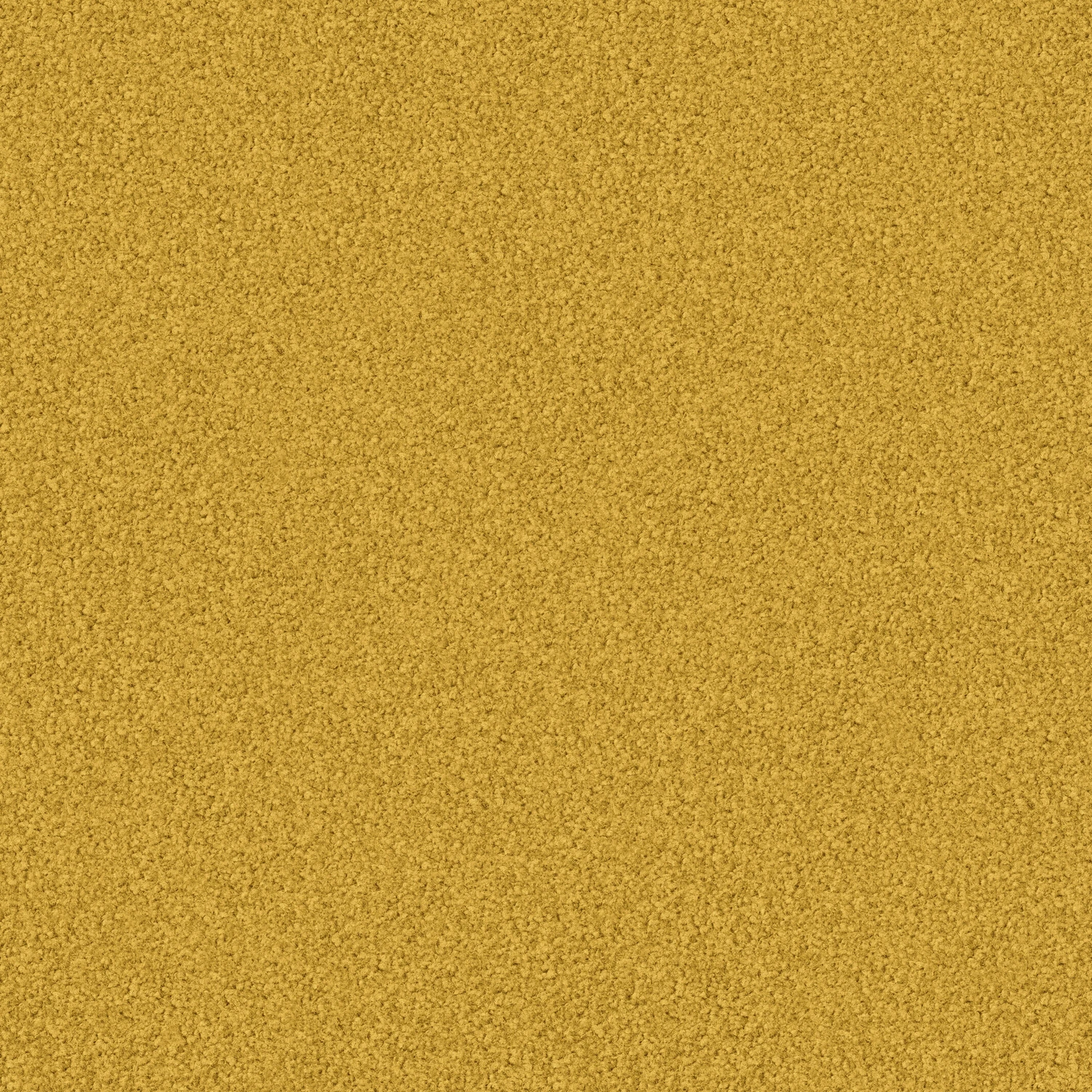 Madra 1100 cab 400: 1131 Goldregen