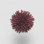 FdS Band 0 New Zealand Wool (W): W660 Maroon