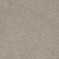 720730 Cammello