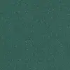 9851 Teal