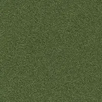 669