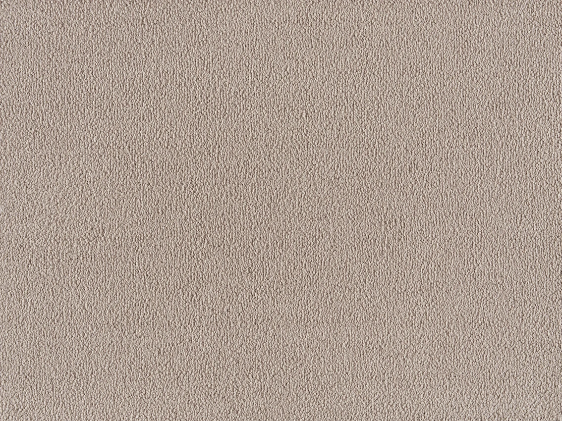 Sofia 32 kt 400 500: 260 Camel