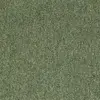 21818 Moss Green